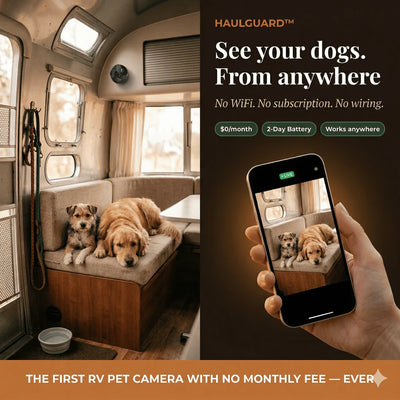 HaulGuard™ — The RV Pet Camera