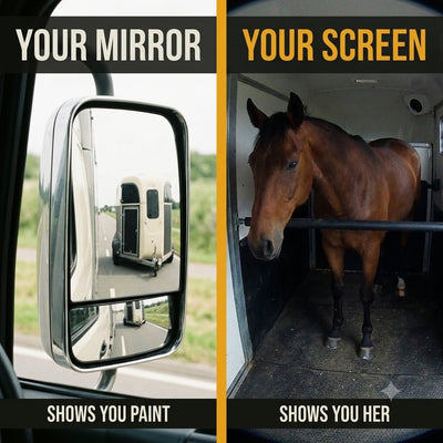 Protectmyhorse camera